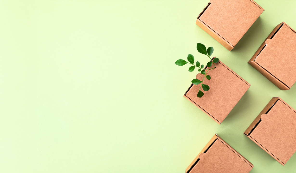 Cardboard boxes made from natural recyclable materials with green leaves, highlighting eco-friendly packing optimization.